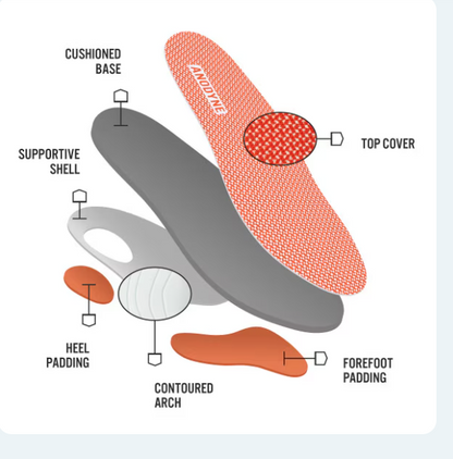 ANODYNE - No. 50 Sport Trainer